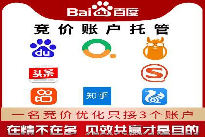 电商巨头的SEM运营托管策略揭秘